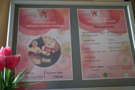 Pomladni sopek, foto Alenka S Lamovsek (7)